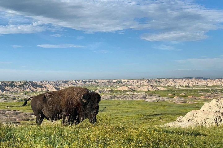 Private Badlands National Park Day Tour  - Photo 1 of 10